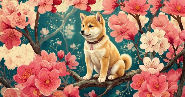 Tử vi ngày mới 14/4: 3 con giáp may mắn có vận trình rực rỡ, công việc suôn sẻ, gặt hái nhiều lộc lá