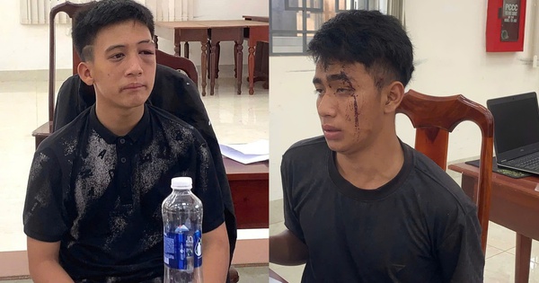 Bắt 2 kẻ trộm ô tô, gây tai nạn rồi leo cây dừa trốn ở Đắk Lắk