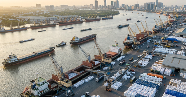 77 tàu cập cảng mang theo hơn nửa triệu tấn mặt hàng xuất khẩu chiến lược: 2 nước láng giềng mang tin vui lớn cho Việt Nam