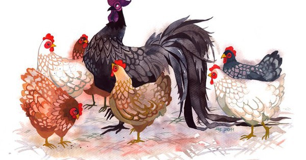 Chuyên gia dự báo: 3 con giáp có thể đạt khoản dự phòng 200 triệu trong 1 năm tới