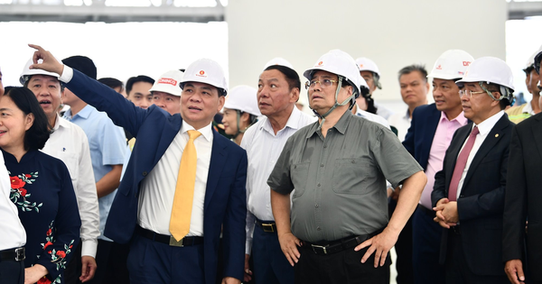 Phó Chủ tịch Vingroup: 