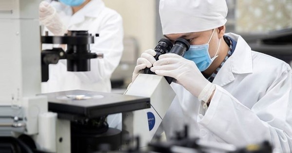 Từ nay, mỗi năm 100 người VN được chọn để nhận 1 tỷ đồng/năm: Ai thuộc nhóm được hỗ trợ?