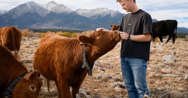 9 năm ám ảnh với vòng cổ bò, CEO 30 tuổi bị chê ngớ ngẩn khi khởi nghiệp, cuối cùng dựng lên startup 2 tỷ USD