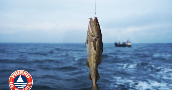 Bí quyết bổ sung Omega-3 đúng chuẩn 