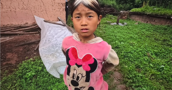 Cô bé 10 tuổi tóc đã bạc trắng vì mất mẹ, gồng mình nuôi cả gia đình