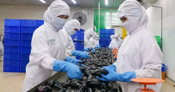 Ngành lương thực - thực phẩm: Tham gia sâu vào chuỗi giá trị