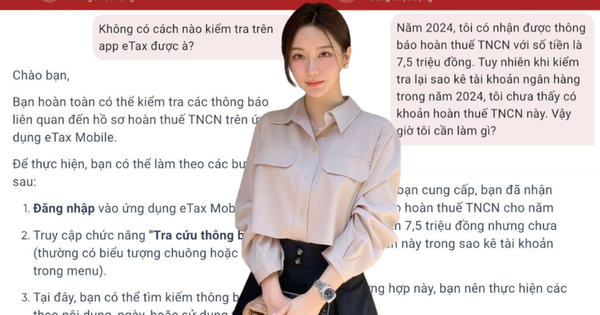 Được hoàn thuế TNCN 7,5 triệu đồng nhưng chưa thấy “tiền về”: Kiểm tra trên eTax Mobile được không hay phải trực tiếp ra cơ quan thuế?