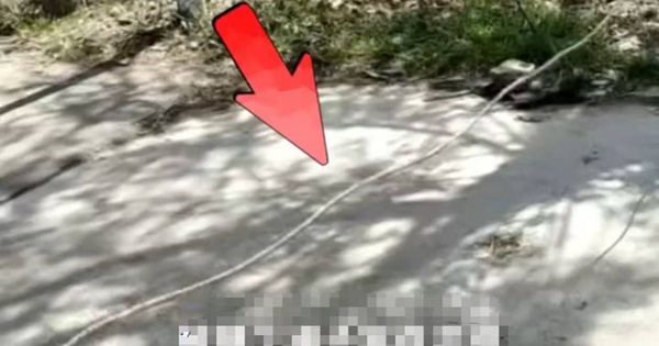 Đạp xe vướng dây giăng ngang đường, cậu bé bị siết cổ đến vỡ khí quản, nguy kịch