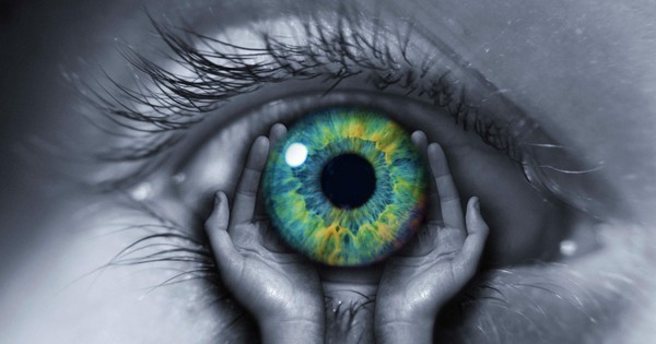 Ghép giác mạc lợn cho người, công ty Việt Nam sở hữu công nghệ cứu 500.000 người mù do bệnh lý