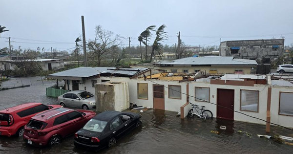 Siêu bão mạnh nhất hành tinh Sinlaku gây thiệt hại diện rộng: Lật úp ô tô, bật gốc cây cối và thổi bay nhiều mái nhà
