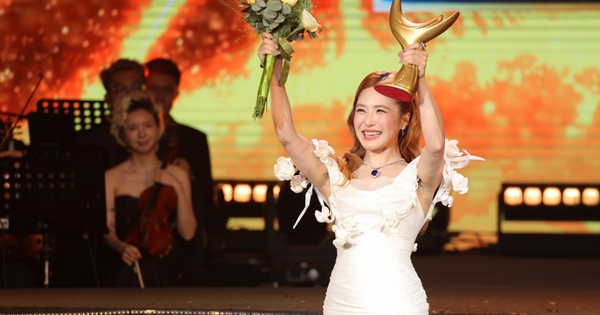 Nhiều tài khoản Ấn Độ, Châu Phi... thả tim vào bài đăng Hương Tràm nhận giải Cống hiến