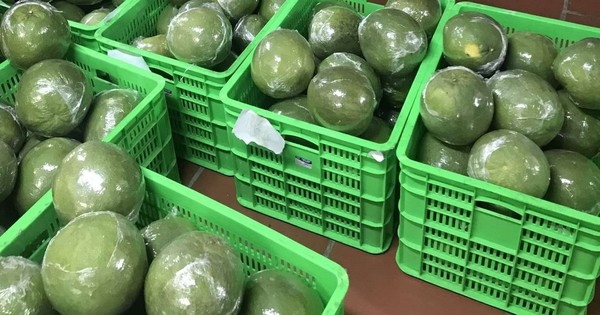 Tin vui: Loại quả Việt Nam trồng hơn 100.000 ha vừa chính thức có “visa” sang Trung Quốc