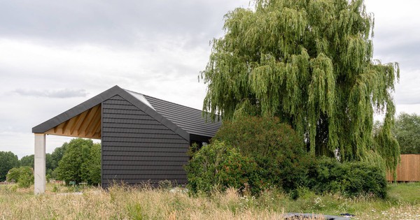 5 loại cây không nên trồng trước cửa nhà, vừa ảnh hưởng phong thủy lại có thể gây hại cho gia chủ