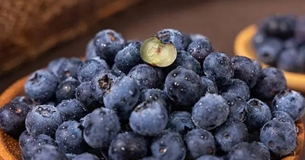 Người phụ nữ 61 tuổi kiên trì ăn việt quất mỗi sáng suốt 4 năm, kết quả khám khiến bác sĩ gật gù: “Cách này rất ổn”