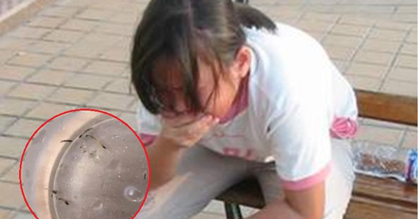 Bé gái nôn ra “giun sống” suốt hơn 1 tháng, thủ phạm lại là loài đang có trong nhiều gia đình