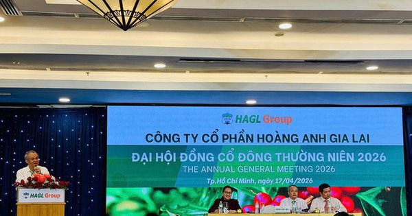 Bầu Đức: Cổ đông có tiền cứ mua thêm, 1-2 năm nữa cổ phiếu lỗ cứ lôi ông Đức ra chửi