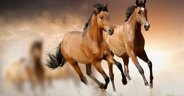 Chuyên gia dự báo: Từ giữa tháng 4/2026, 4 tuổi này có tín hiệu tài lộc khởi sắc, cơ hội tăng thu nhập rõ rệt