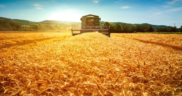 Nga phát minh đột phá trong lĩnh vực giảm phát thải nông nghiệp, củng cố vị thế 