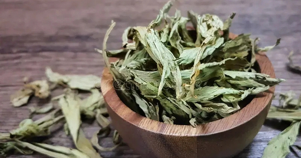 Loại lá khô ngọt gấp 300 lần đường mía nhưng lại không gây tăng đường huyết, tốt cho tim mạch: Việt Nam bán nhiều