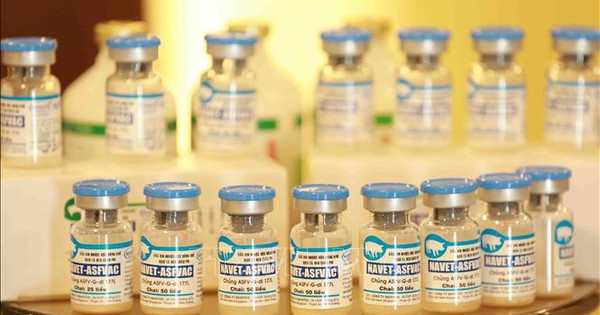 Sáng chế tự hào của nhà khoa học Việt Nam: Loại vắc xin thế giới mất 100 năm vẫn chưa sản xuất được