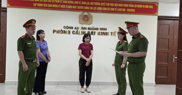 Thi hành lệnh bắt tạm giam chủ hộ kinh doanh Phạm Thị Quỳnh SN 1973