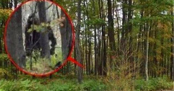 Loài thú lạ “đầu lừa, mình sói”, dài tới 2m bất ngờ tái xuất sau 500.000 năm: Sự thật quá bất ngờ!