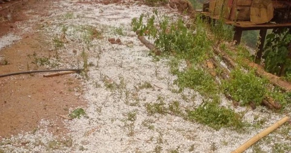 Mưa đá dày đặc ở Sơn La, đồi núi trắng xóa sau cơn dông