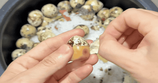 Bắt trend làm trứng cút nướng muối tại nhà bằng nồi cơm điện: Món ăn vặt 