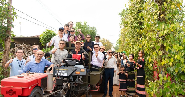 Từ “mỏ vàng đen” chìm giữa buôn làng đến di sản UNESCO: Cách Việt Nam định giá lại một báu vật của đất trời