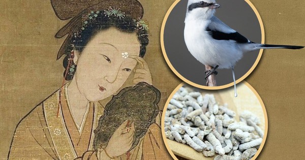 Mỹ nhân quyền lực nhất nhà Thanh dùng… thứ gây sốc để giữ gìn nhan sắc?