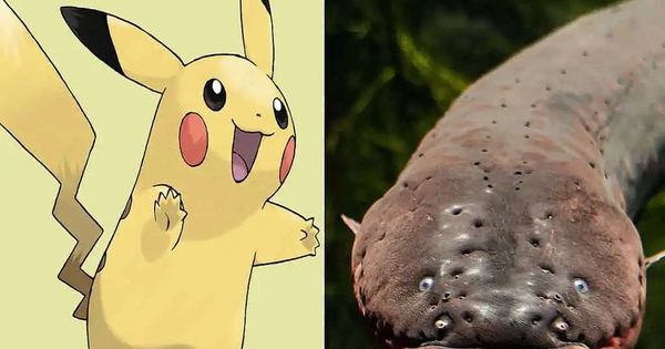 Bí ẩn về 7 loài động vật có sức mạnh tương đồng với Pokémon huyền thoại