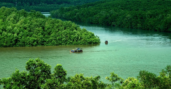 Nghiên cứu xác định 