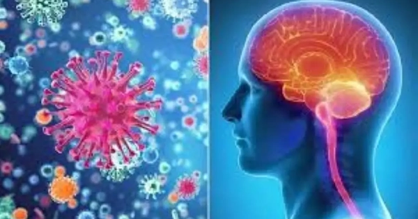 Khống chế thành công ổ dịch viêm não mô cầu ở Cà Mau