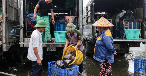 Cảnh ô nhiễm kéo dài tại chợ cá lớn nhất Hà Nội trước ngày bị giải tỏa