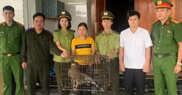 Động vật 'lạ' xuất hiện trong khu dân cư