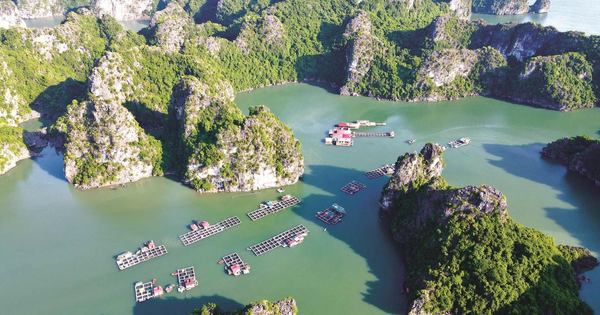 Chính phủ phê duyệt nhiệm vụ lập Quy hoạch bảo tồn, phát huy tiềm năng vịnh Hạ Long