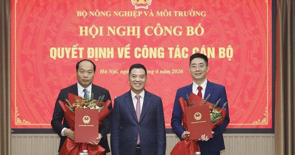 Chủ tịch xã 37 tuổi làm Thư ký Bộ trưởng Bộ Nông nghiệp và Môi trường