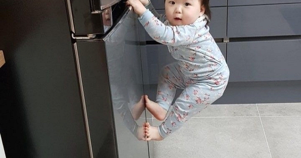 Trẻ càng khó nuôi lại càng thông minh? Hé lộ 3 đặc điểm phá phách của trẻ IQ cao