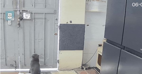 Shipper đến phòng trọ giao hàng, chuyện gì xảy ra khiến chủ trích xuất camera đăng lên mạng?