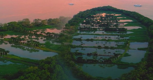 Sự thật về dải cù lao xanh mướt như đồ họa AI tại Cần Thơ