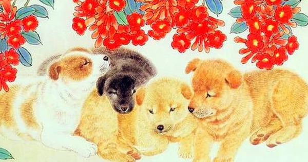 14 ngày tới: 4 con giáp có tín hiệu tăng thu nhập, cơ hội cải thiện tài chính rõ rệt