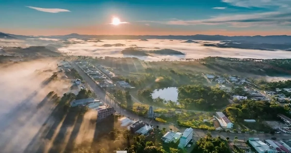 Quảng Ngãi chuyển gần 83 ha rừng Măng Đen làm đại đô thị nghìn tỷ