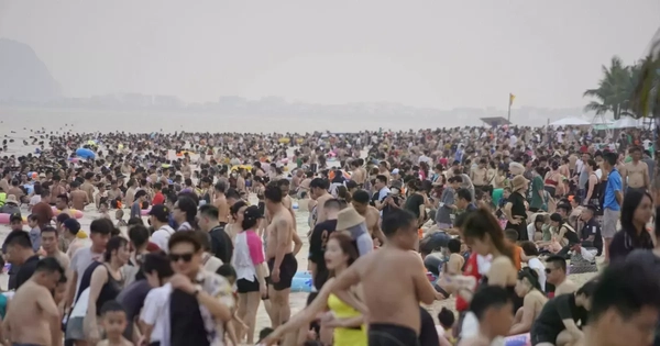 Cô Tô 'cháy' phòng, du thuyền Hạ Long sắp hết chỗ