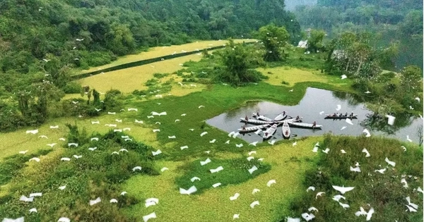 Sự thực Vườn chim Thung Nham được chuyển nhượng với giá hàng triệu USD