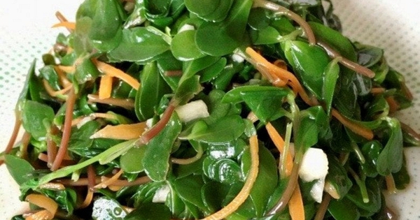 Đừng coi là cỏ dại, loại rau mọc đầy lối đi này là 