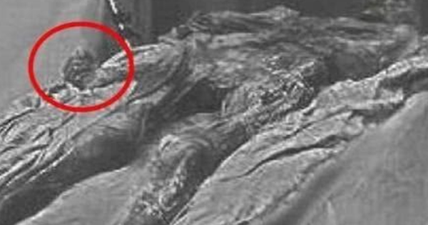 Mở mộ Quang Tự, phát hiện ông nắm chặt 2 vật thể lạ: Vừa thấy chúng, chuyên gia khóc không ngừng