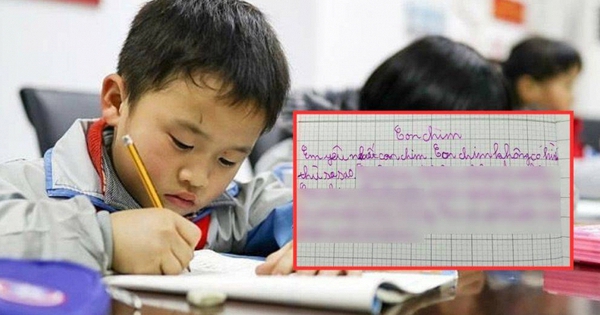 Học sinh tiểu học tả Con chim, đọc xong cười chảy nước mắt!