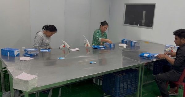 Triệt phá đường dây sản xuất trà giảm cân Emo's chứa chất cấm gây đau tim: Bắt giữ vợ chồng Trần Thị Như Hảo - Nguyễn Trọng Anh