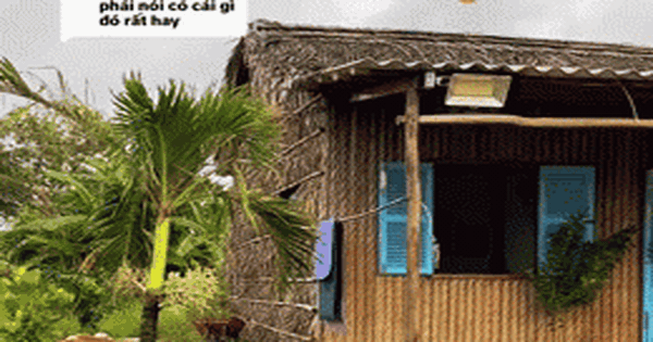 Vợ chồng trẻ rời phố về quê sau 10 năm, chi 130 triệu đồng để dựng nhà lá: Thành quả bất ngờ