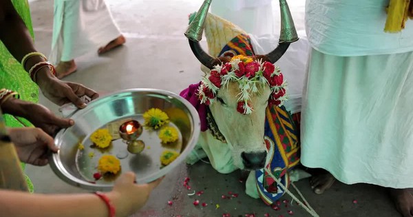 Du khách được yêu cầu 